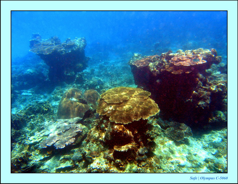 2005 - 08 - Perhentian  - 140.JPG